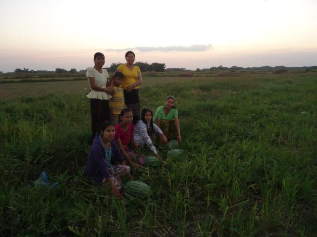 AFP women in watermelon field which is one of their income generation programs